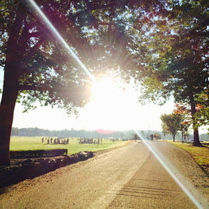 Meet your Posher, Ryan